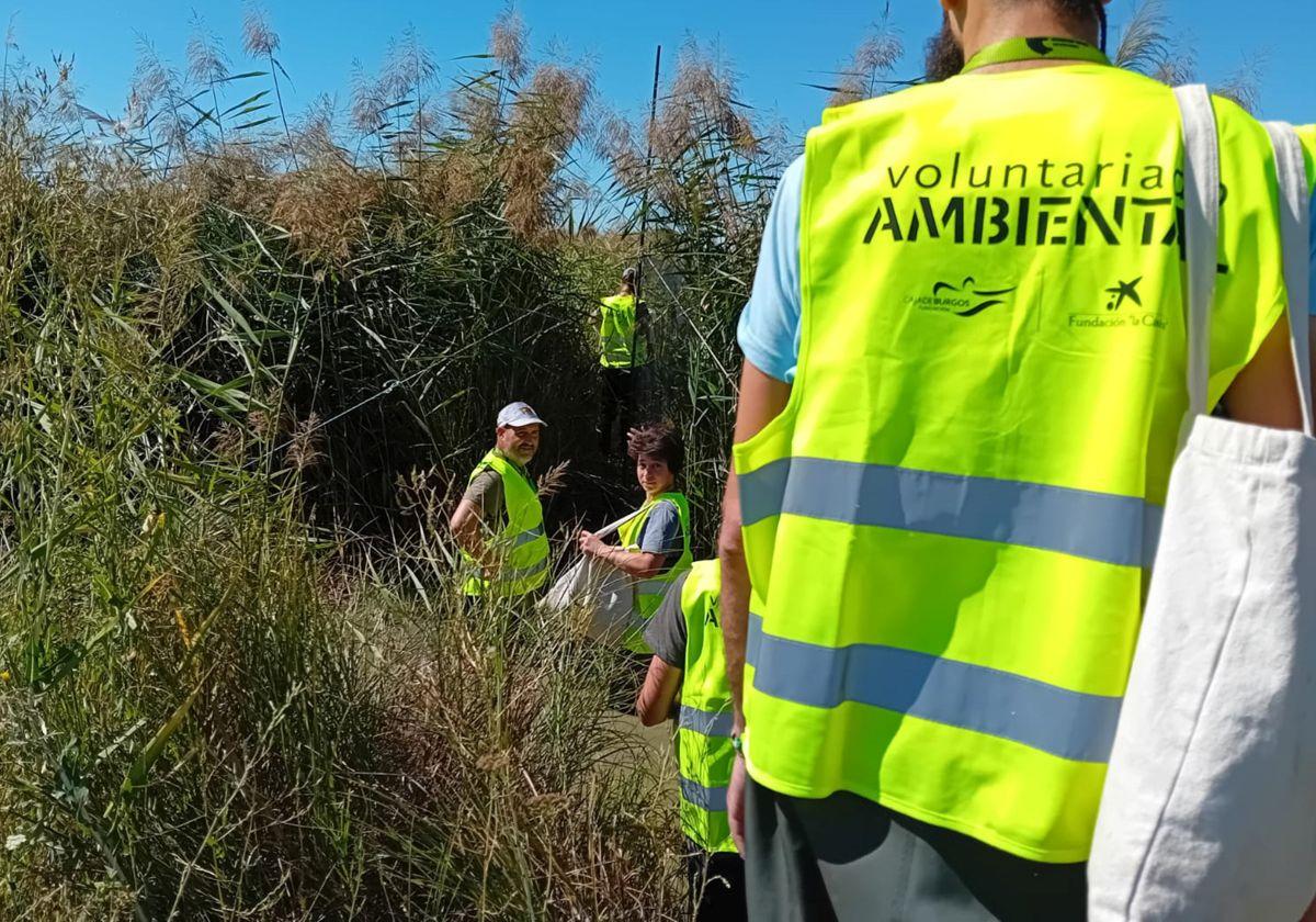 Voluntarios ambientales.