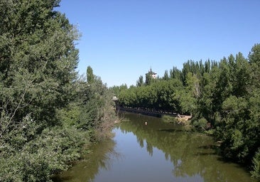 Estudian realizar cruceros en el Duero entre Soria y Burgos