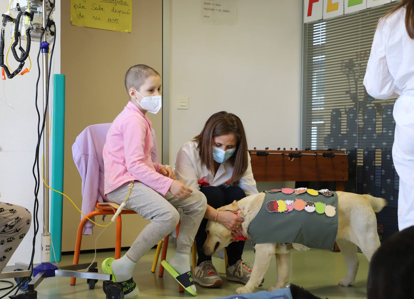 La terapia con perros para los niños hospitalizados en Burgos, en imágenes