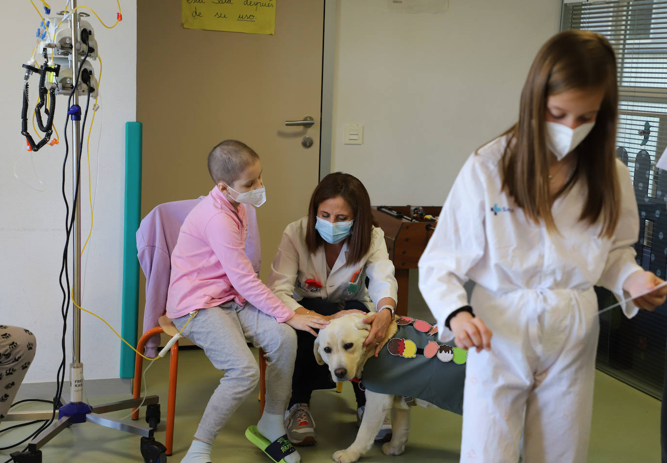 La terapia con perros para los niños hospitalizados en Burgos, en imágenes