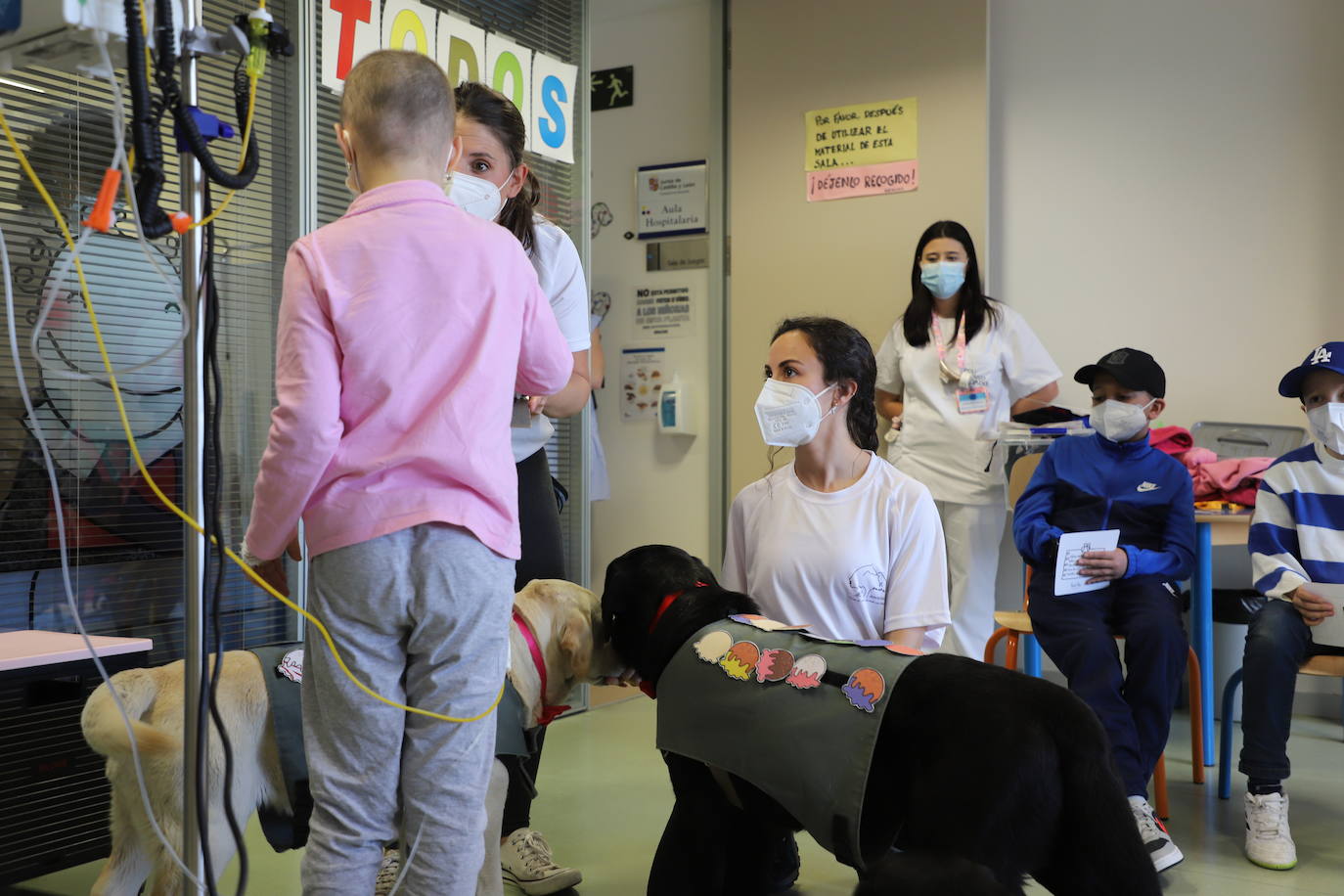 La terapia con perros para los niños hospitalizados en Burgos, en imágenes