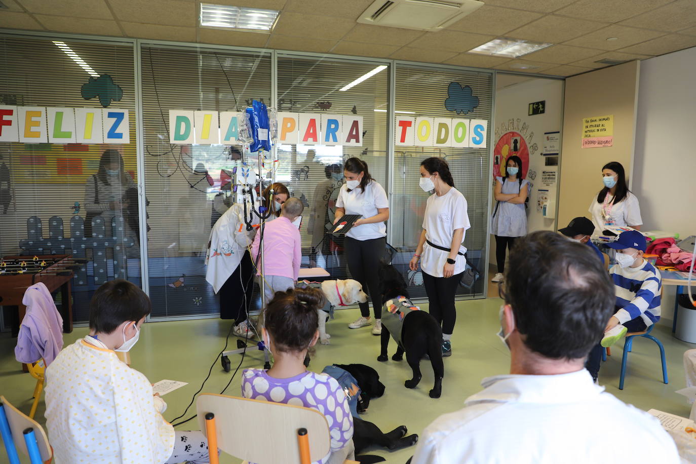 La terapia con perros para los niños hospitalizados en Burgos, en imágenes