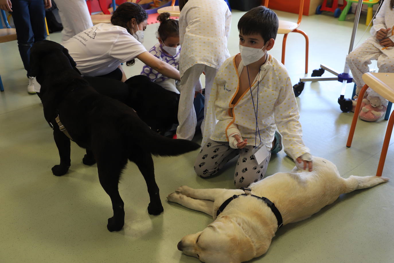 La terapia con perros para los niños hospitalizados en Burgos, en imágenes