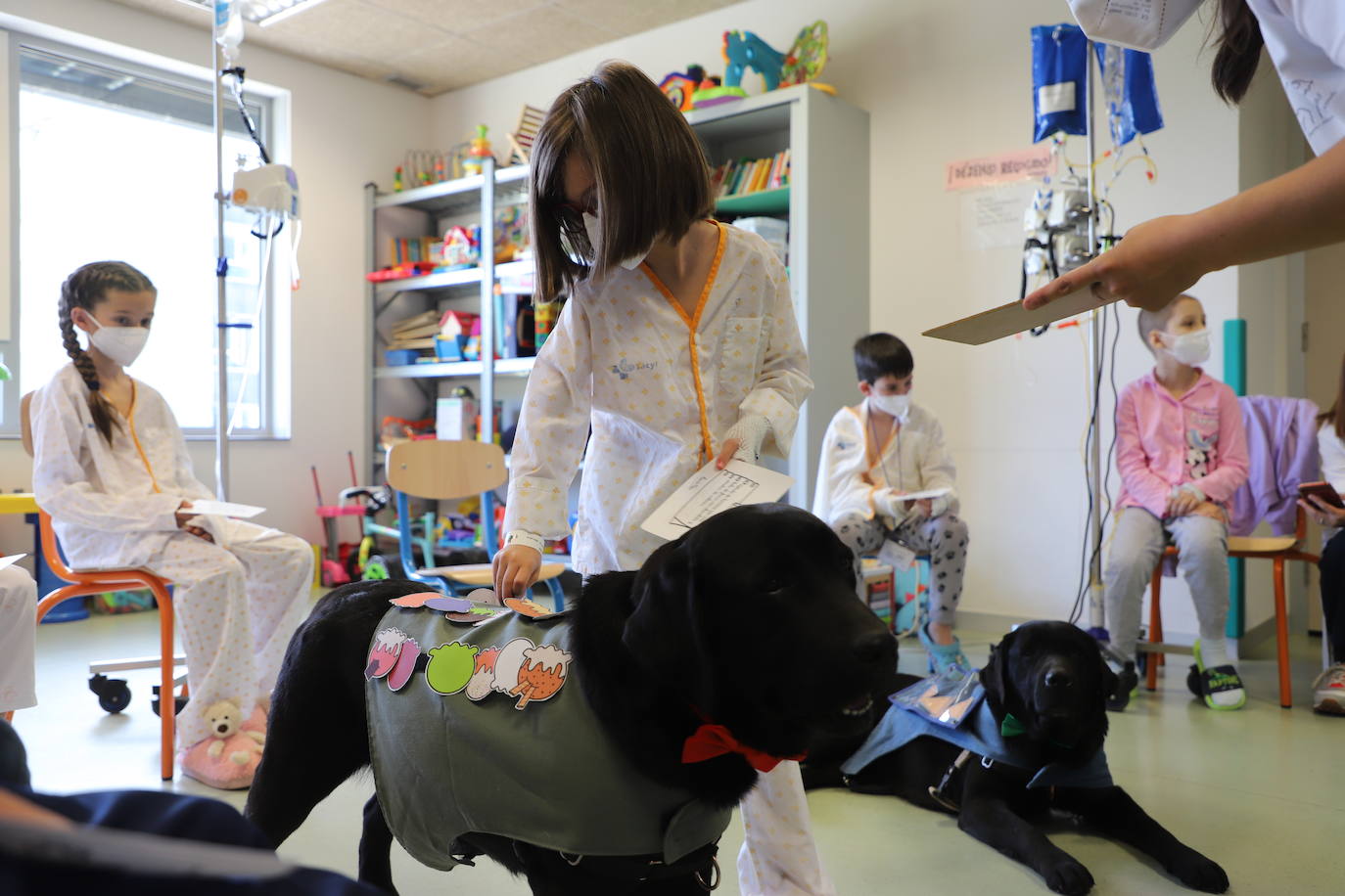 La terapia con perros para los niños hospitalizados en Burgos, en imágenes