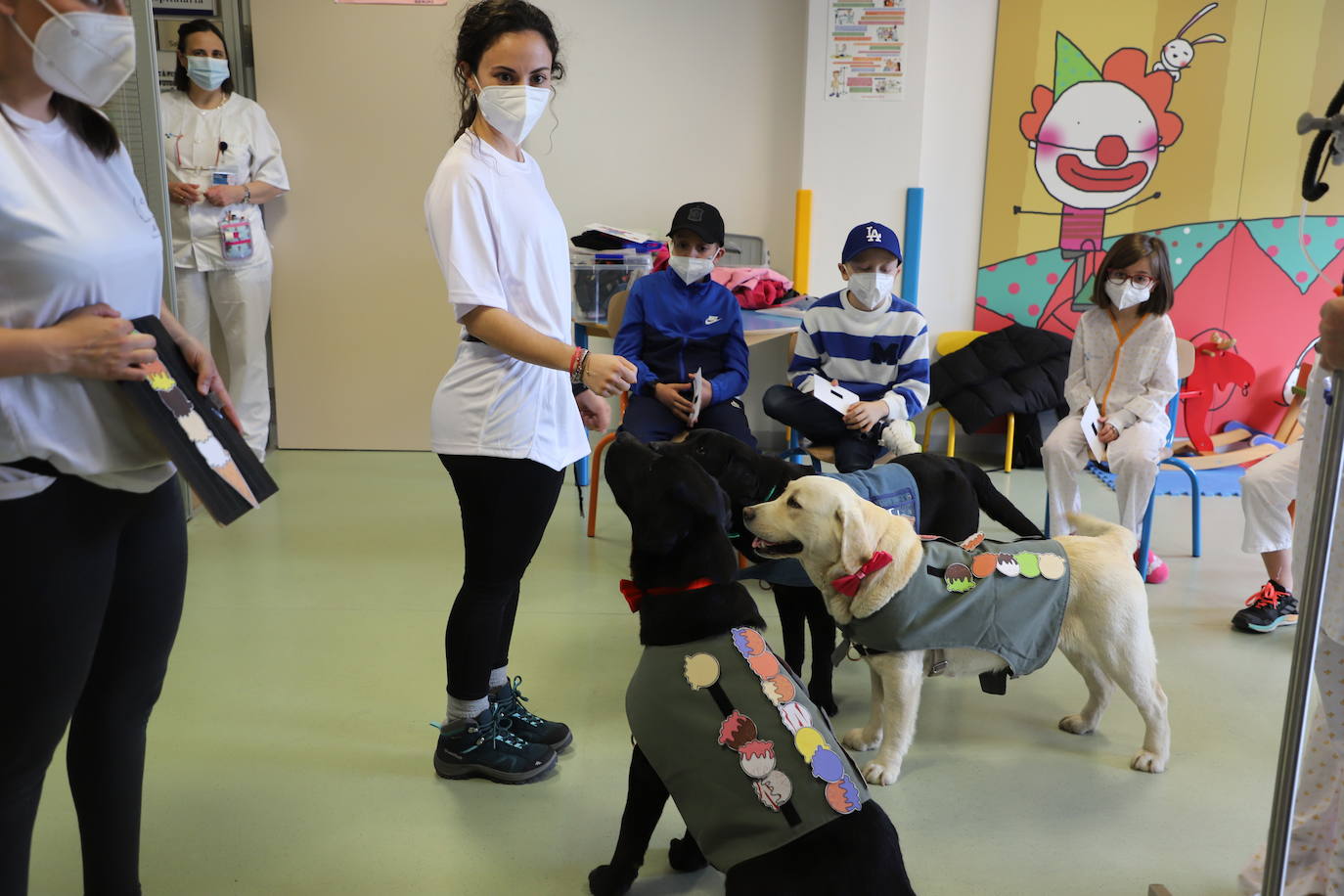 La terapia con perros para los niños hospitalizados en Burgos, en imágenes