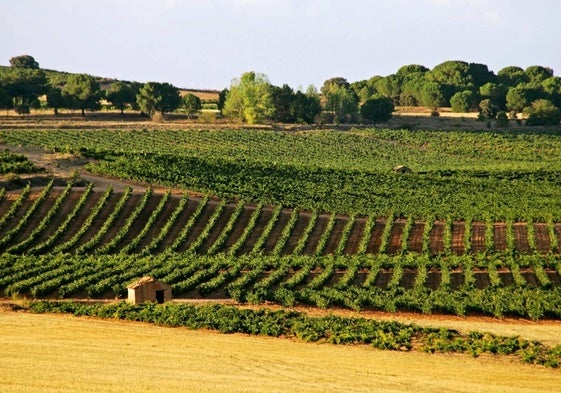 La Ruta del Vino de Ribera del Duero ofrece muchos reclamos.