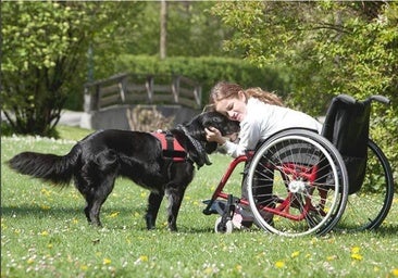 En busca de apoyo económico para poner en marcha 'Amigo perro' en Burgos