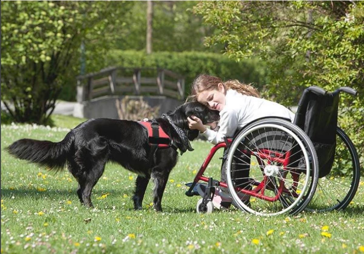 Un perro de terapia con una niña con parálisis cerebral.