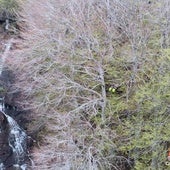 Rescatan a una senderista lesionada en una zona inaccesible del norte de Burgos