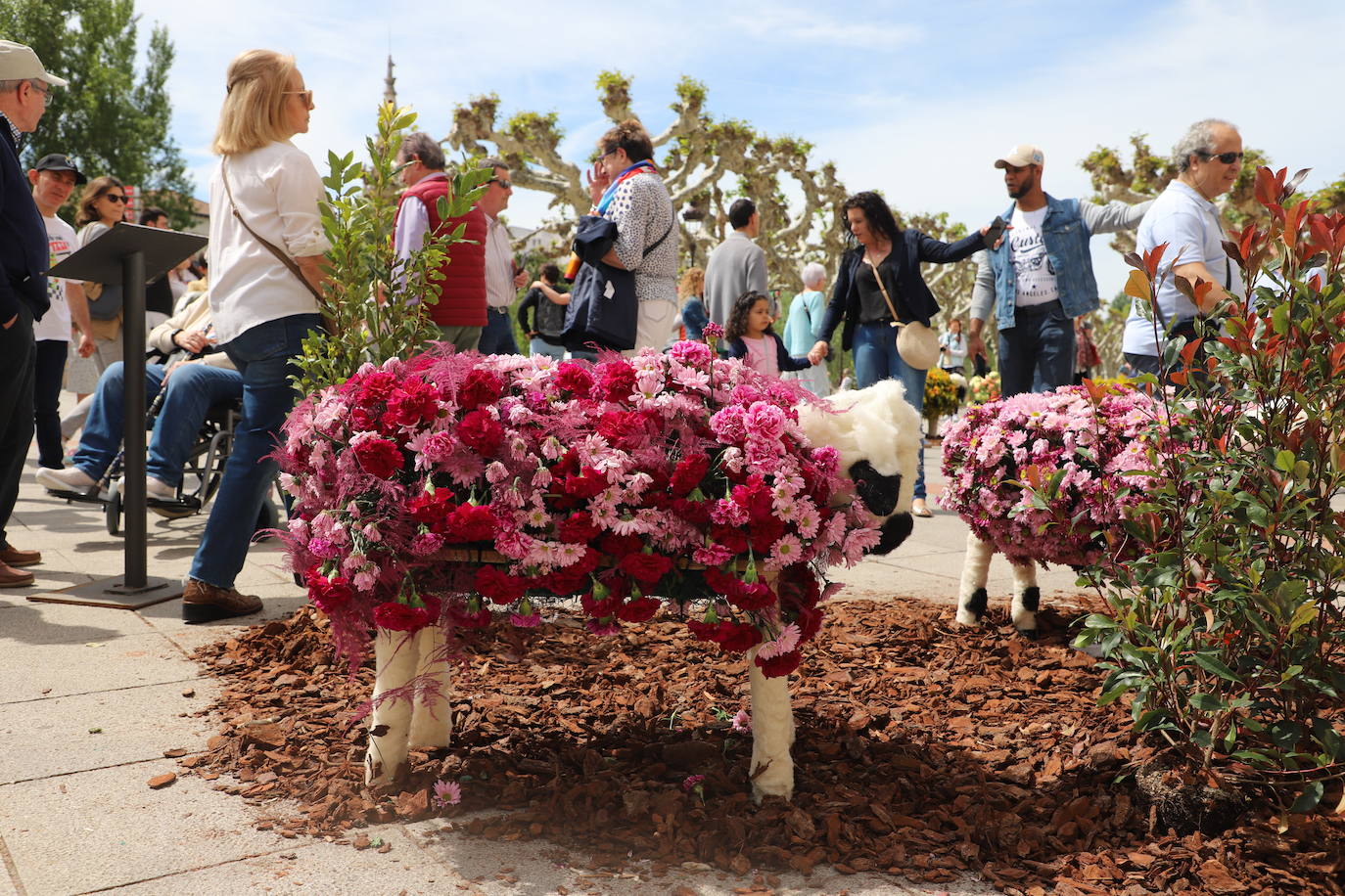 La Fiesta de las Flores de Burgos, en imágenes