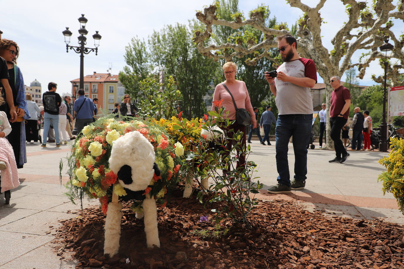 La Fiesta de las Flores de Burgos, en imágenes