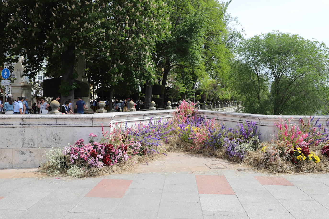 La Fiesta de las Flores de Burgos, en imágenes