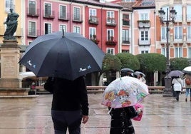 Los paraguas serán habitual durante esta semana en Burgos