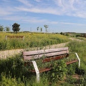 Denuncian el crecimiento de una «selva» abandonada en la zona sur de Burgos