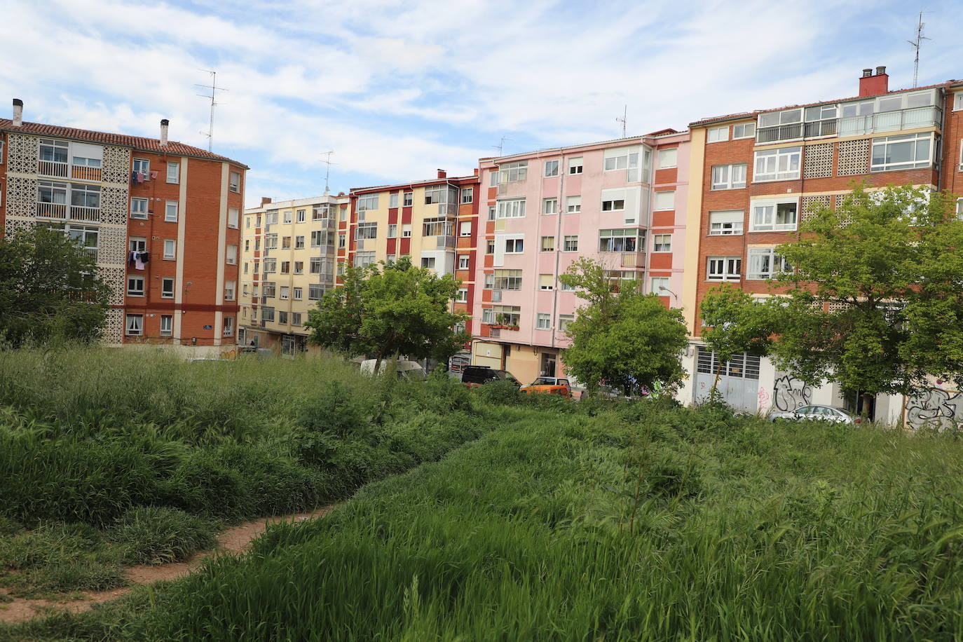 Imágenes del abandono del parque de San Isidro en Burgos