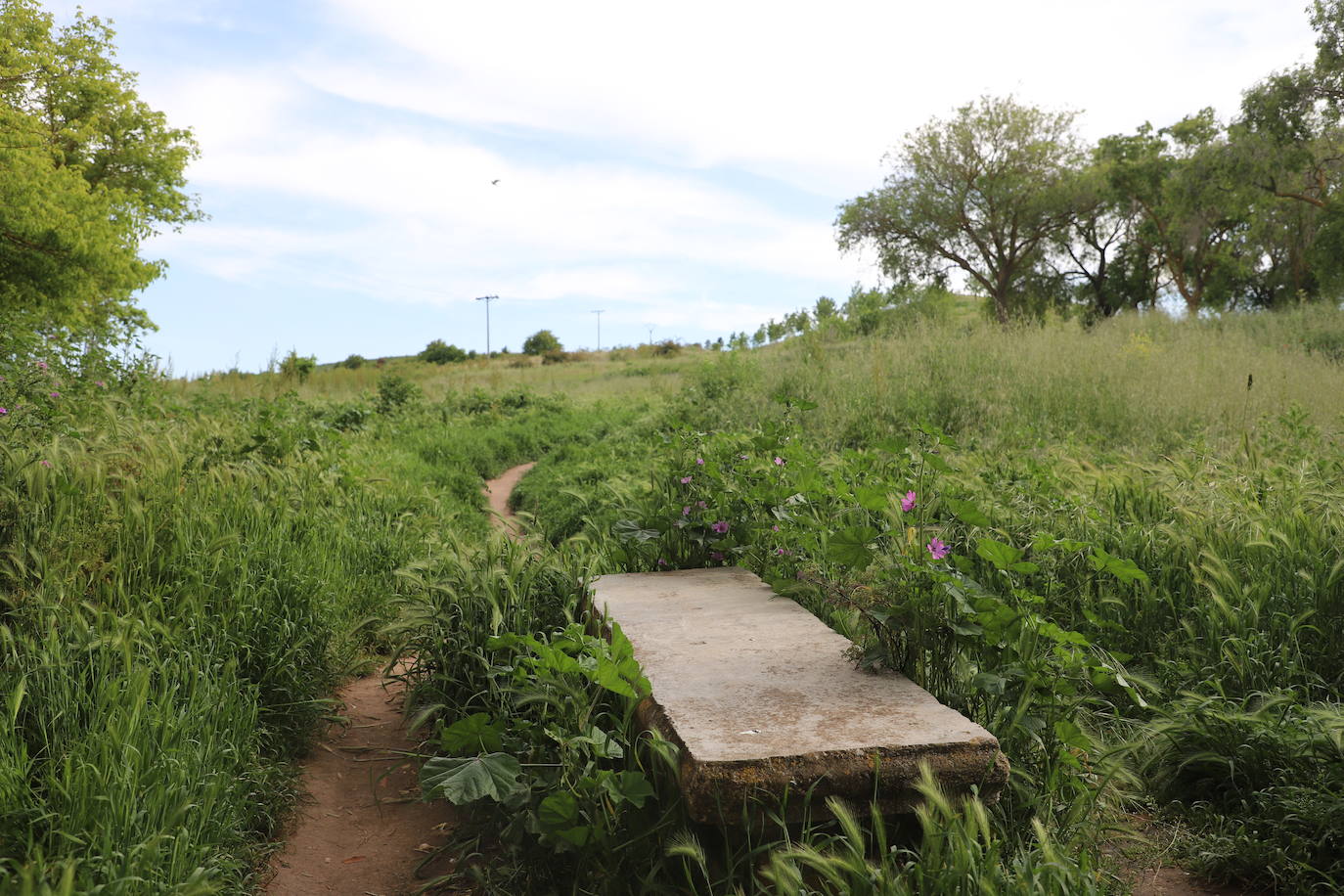 Imágenes del abandono del parque de San Isidro en Burgos