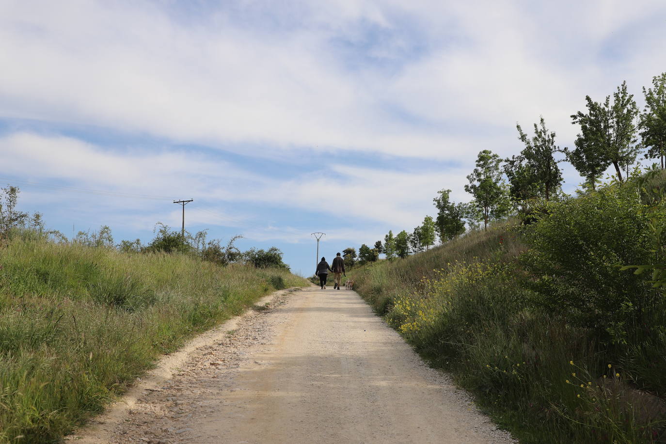 Imágenes del abandono del parque de San Isidro en Burgos