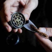 El cannabis avanza en Castilla y León: Un 5,2% reconoce haberlo consumido en el último mes