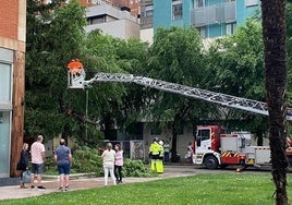 Intervención de los Bomberos de Burgos durante el miércoles