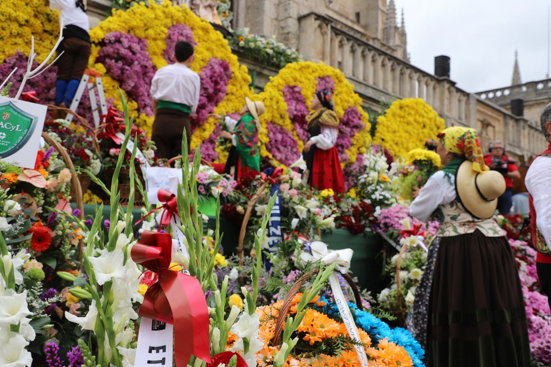 Así ha sido la Ofrenda Floral de los Sampedros en Burgos