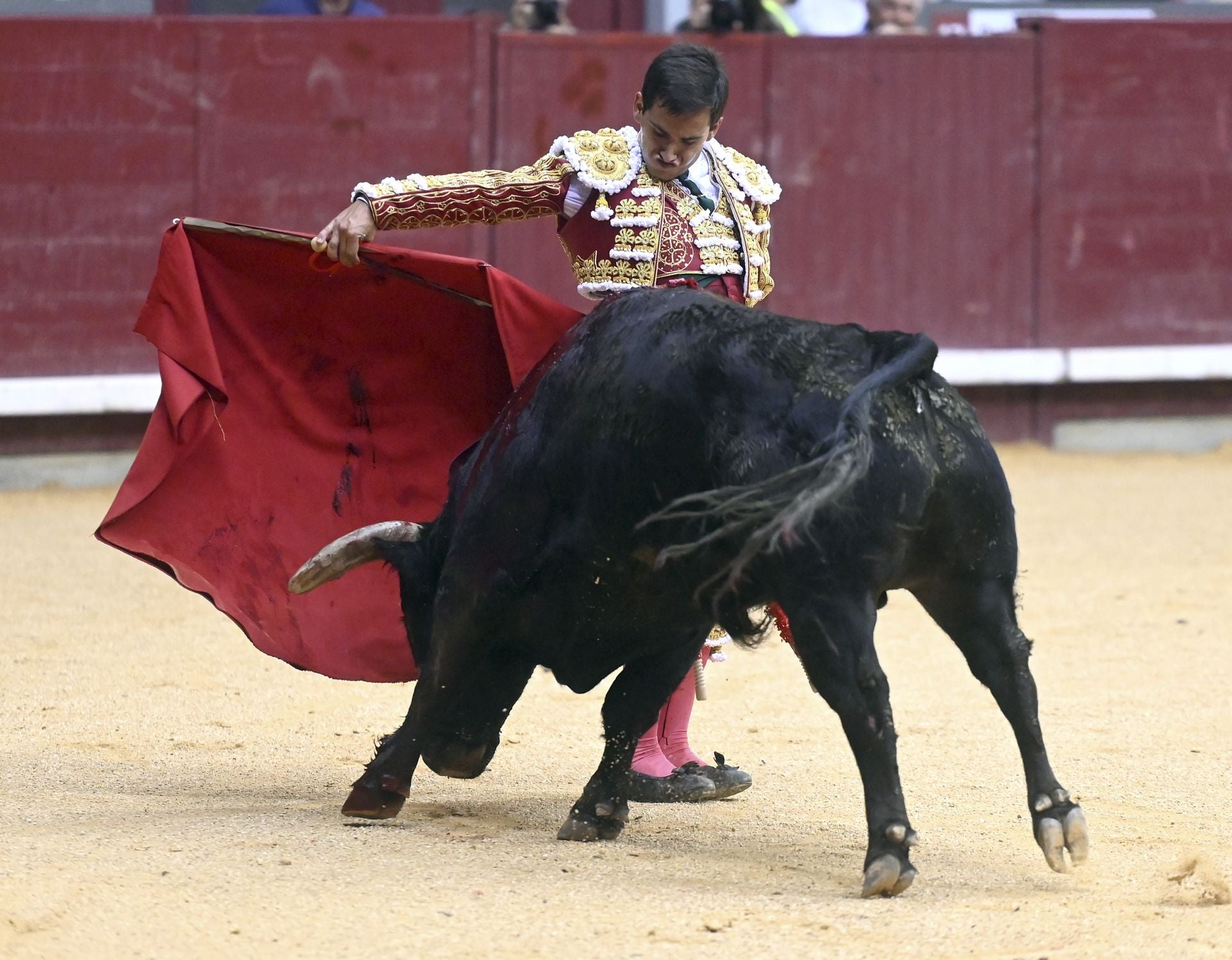 Algunas de las imágenes de la primera corrida de toros de los Sampedros