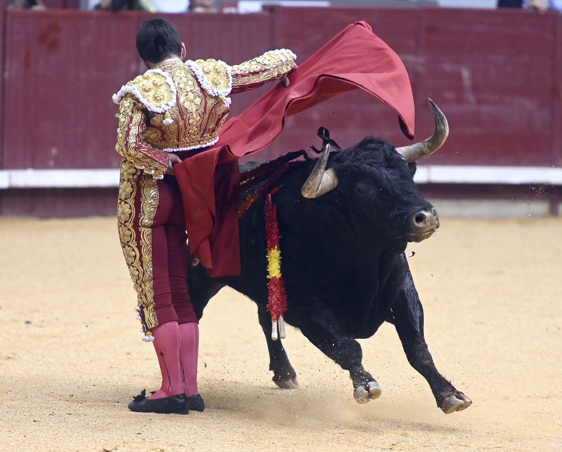 Algunas de las imágenes de la primera corrida de toros de los Sampedros