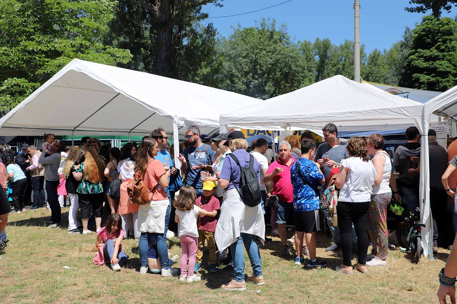 El Día de las Peñas de Burgos, en imágenes