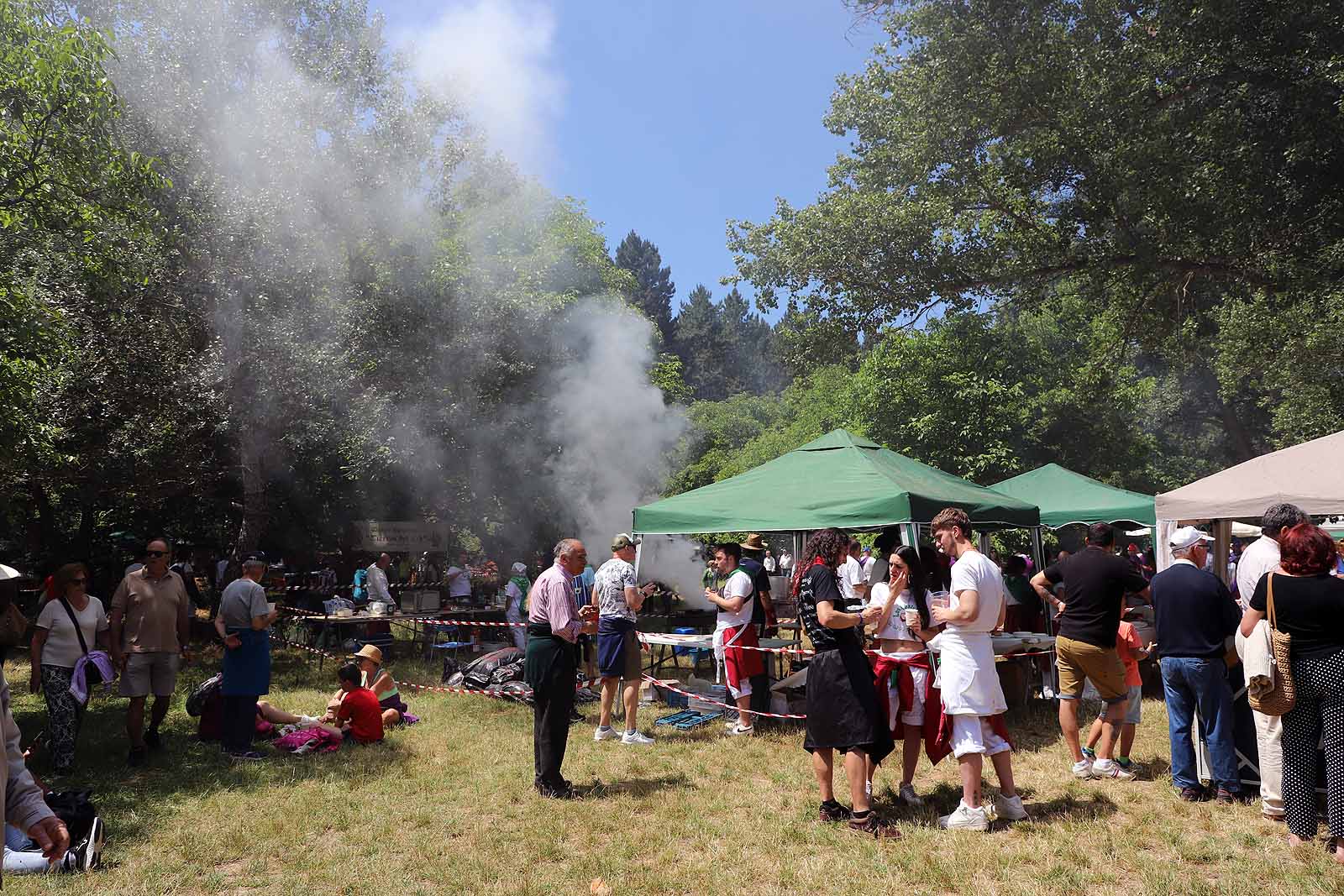 El Día de las Peñas de Burgos, en imágenes