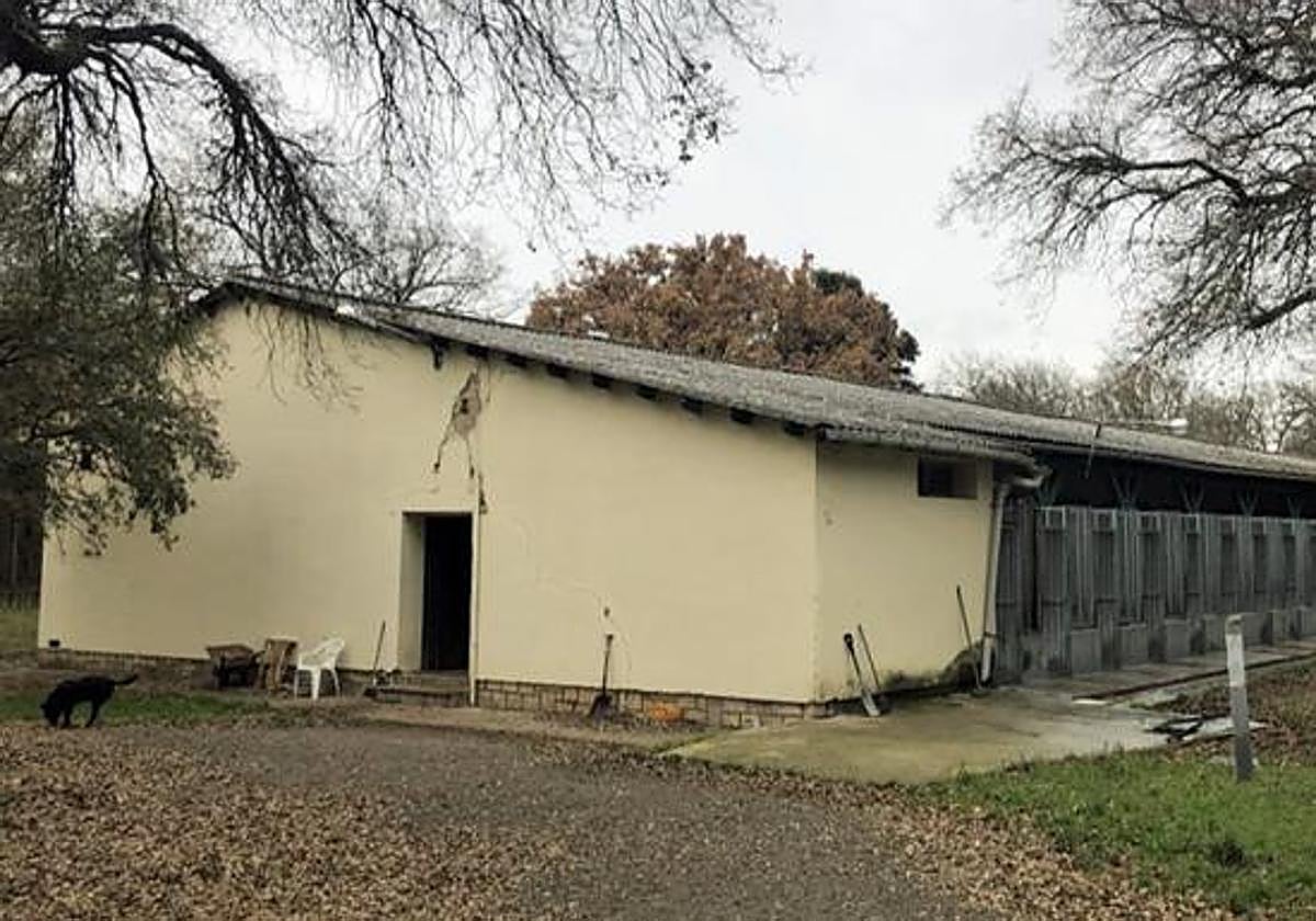 Foto de archivo de la perrera municipal de Burgos.