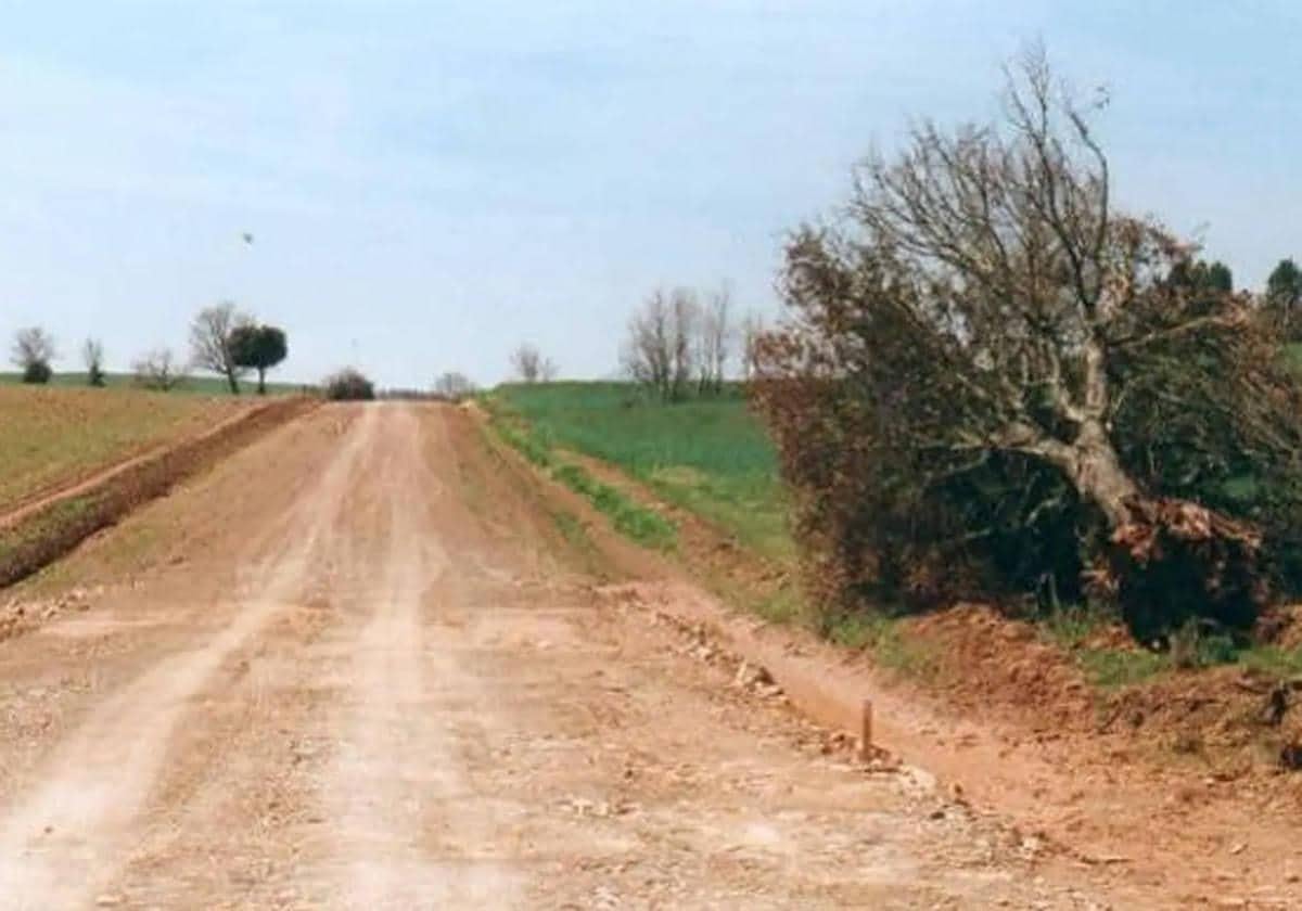 Camino de concentración parcelaria.