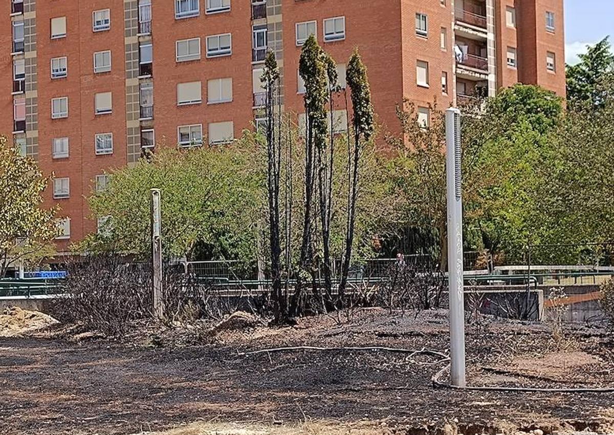 Imagen secundaria 1 - Los Bomberos han evitado que el incendio se propagara. 