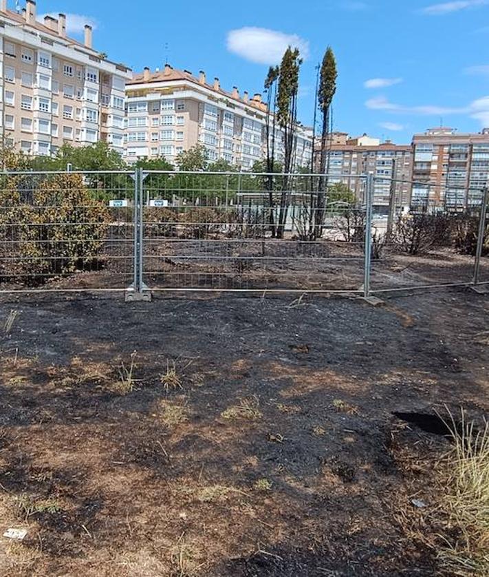 Imagen secundaria 2 - Los Bomberos han evitado que el incendio se propagara. 