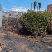 Un incendio en el parque Félix Rodríguez de la Fuente activa las alarmas en Gamonal