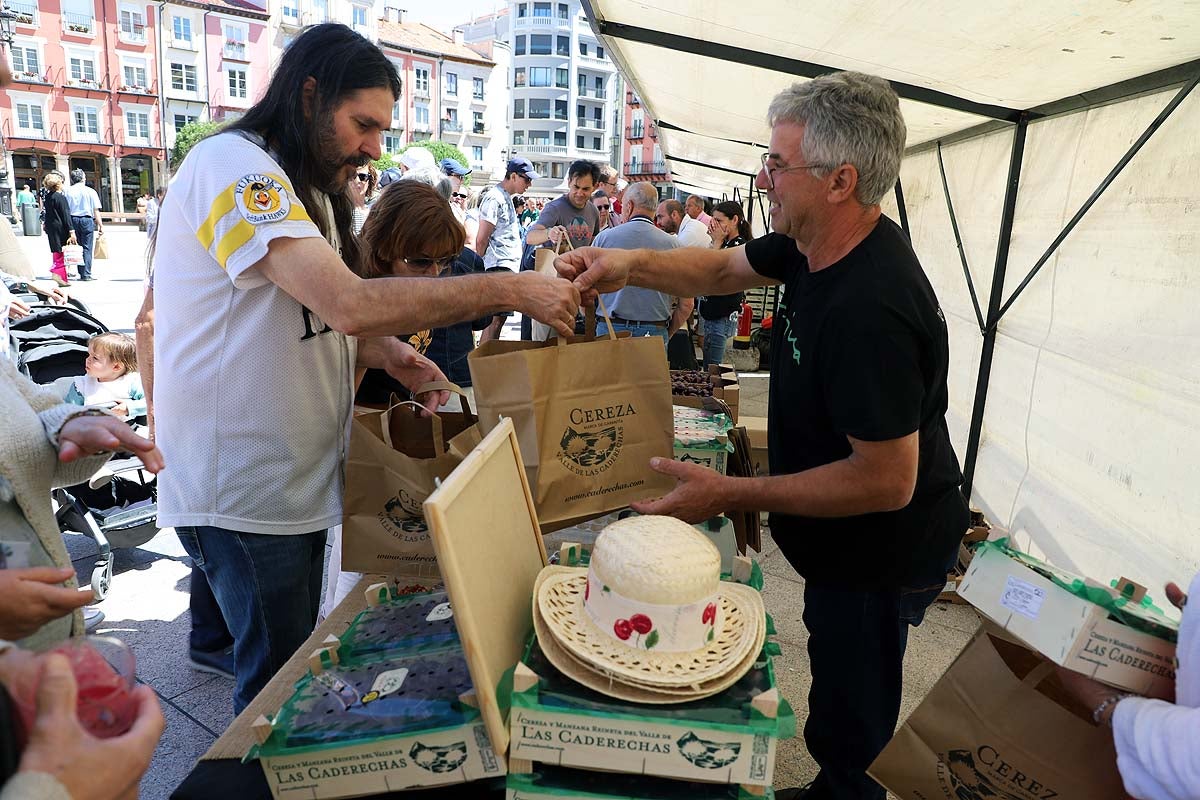 Así ha sido la feria de la cereza del Valle de las Caderechas en Burgos