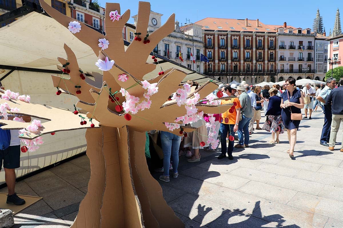 Así ha sido la feria de la cereza del Valle de las Caderechas en Burgos