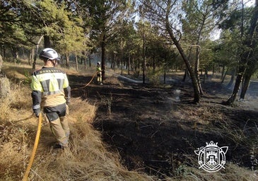 Los Bomberos sofocan un incendio forestal en el parque del Castillo