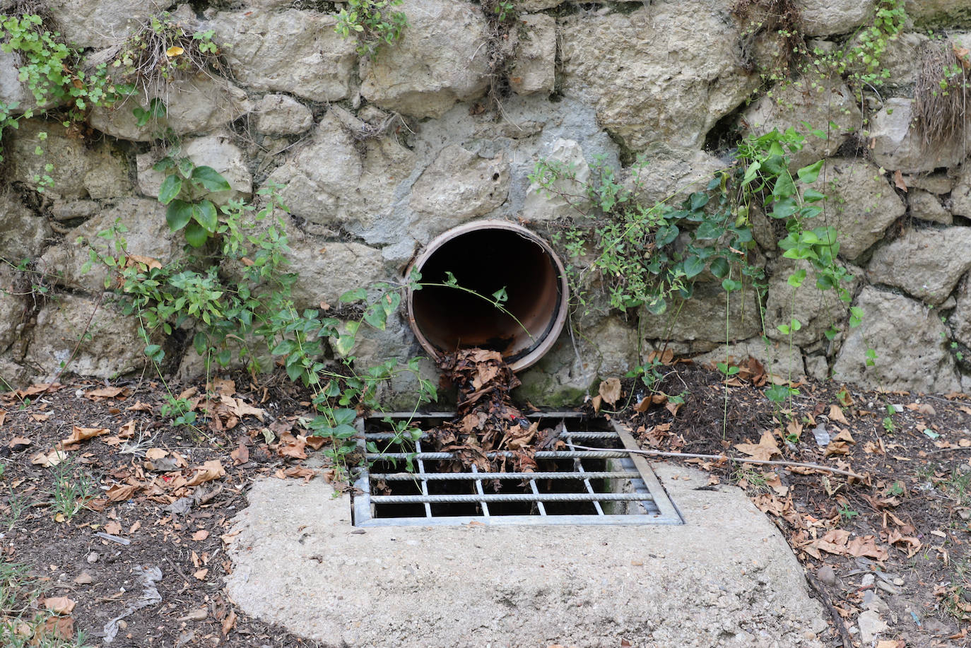 La basura se acumula en la ribera del Arlanzón en Burgos