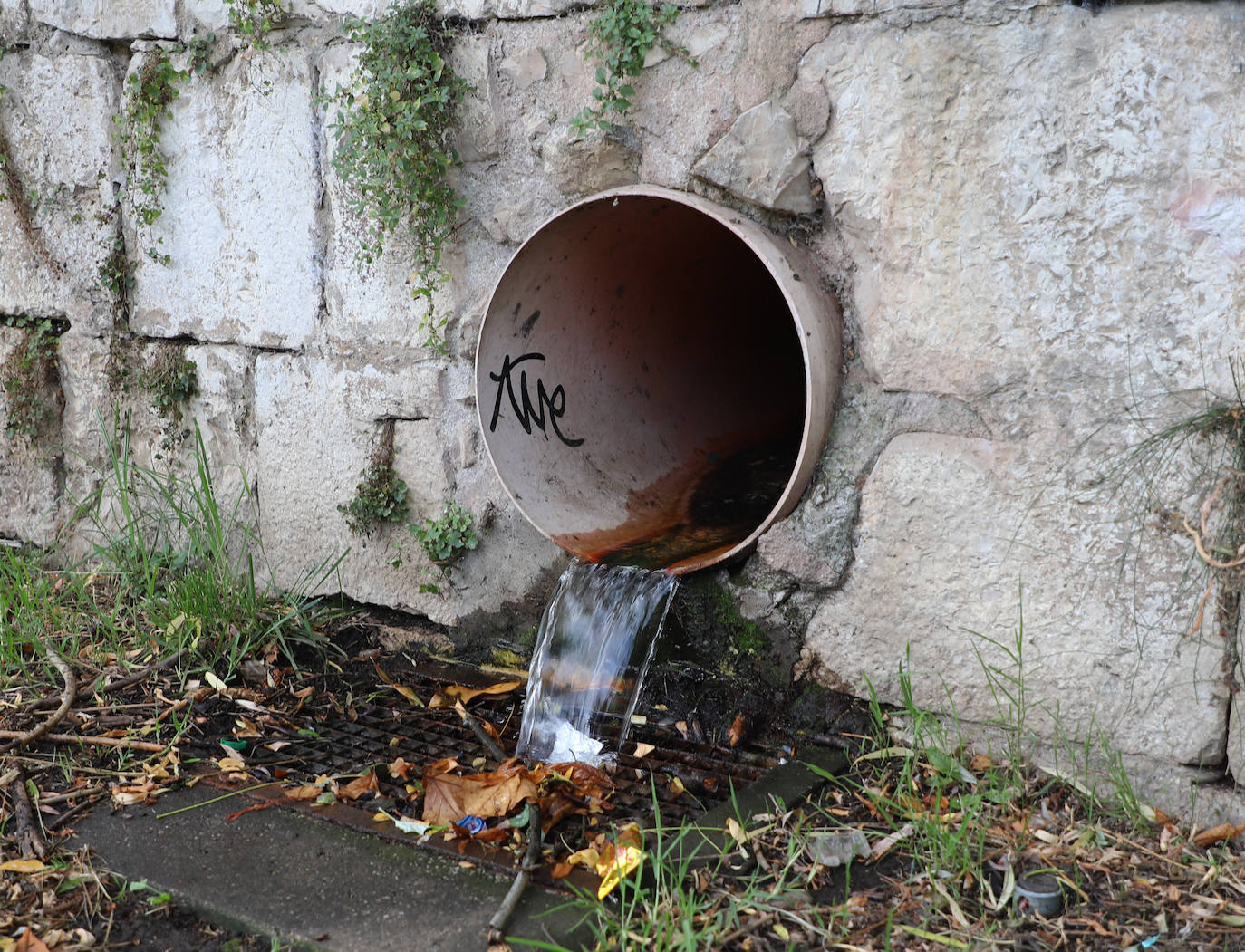 La basura se acumula en la ribera del Arlanzón en Burgos