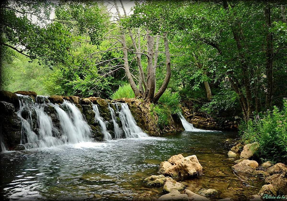 Sargentes de la Lora ofrece un entorno natural excepcional.