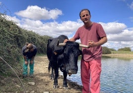 Imagen de archivo de una vaca afectada por la enfermedad a finales de 2023.