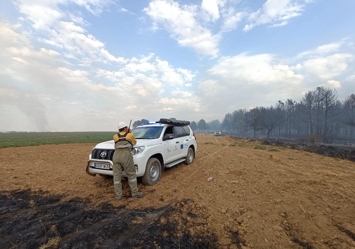 Incendio forestal y agrícola cerca de Villacienzo