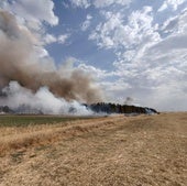 Controlado el incendio de Villacienzo tras calcinar 12,5 hectáreas