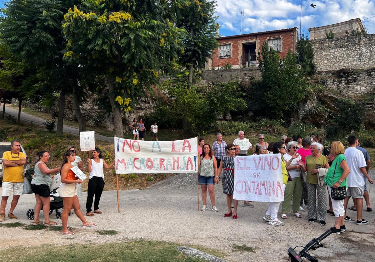 Imagen de la manifestación contra la macrogranja de Fuentemolinos, en Burgos.