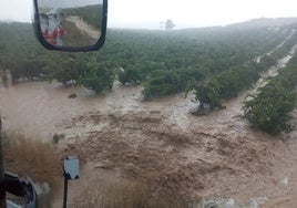 Un viñedo en plena tromba de agua en Ribera del Duero.