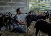 Una pareja busca financiación para crear una quesería artesanal en un pueblo de Burgos