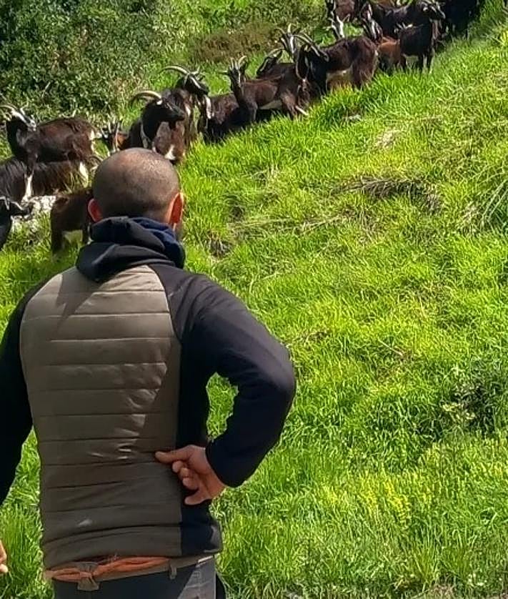 Imagen secundaria 2 - Una pareja busca financiación para crear una quesería artesanal en un pueblo de Burgos