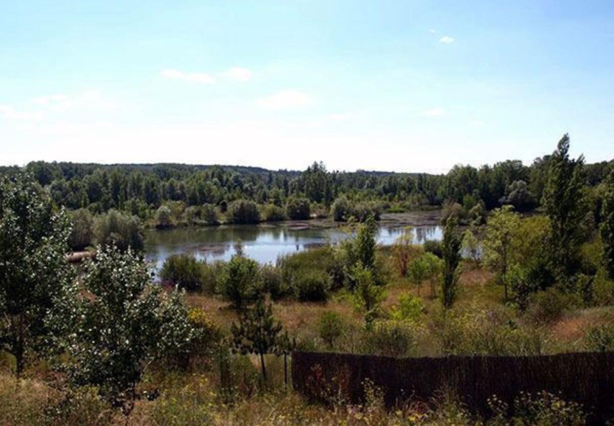 Humedal de Fuentes Blancas.