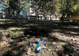 Zonas verdes descuidadas y sucias en el entorno de Molino Salinas.