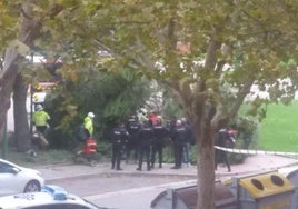 Imagen del árbol caído sobre un hombre en la avenida de Castilla y León.