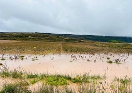 Las fuertes lluvias han afectado a varias zonas de la provincia de Burgos.